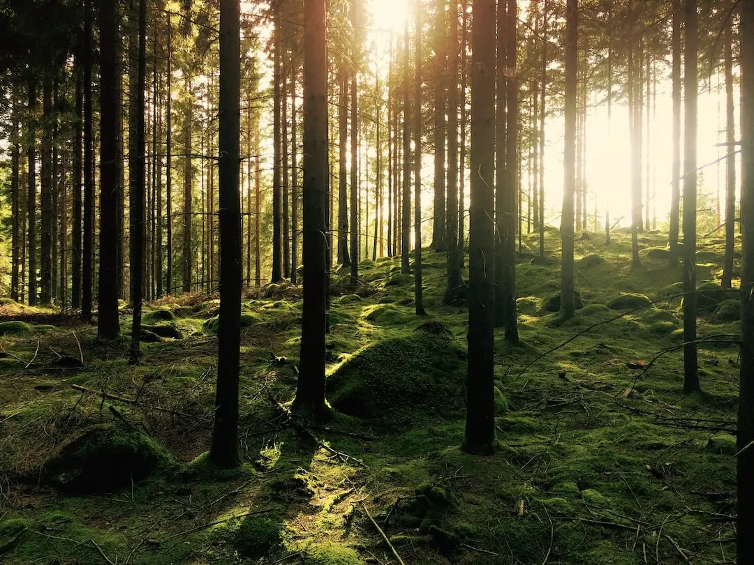 Sveriges landskap i storleksordning